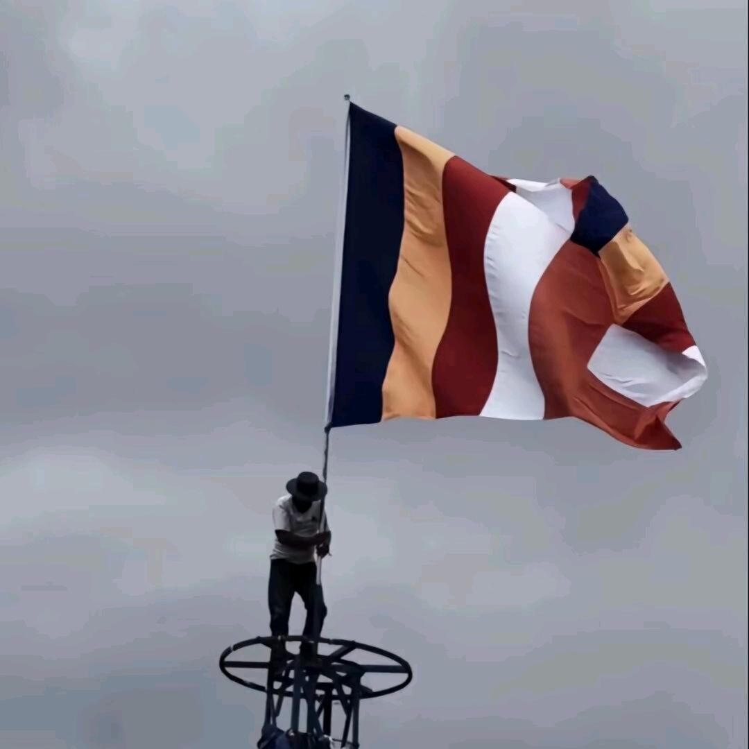 卓玛288