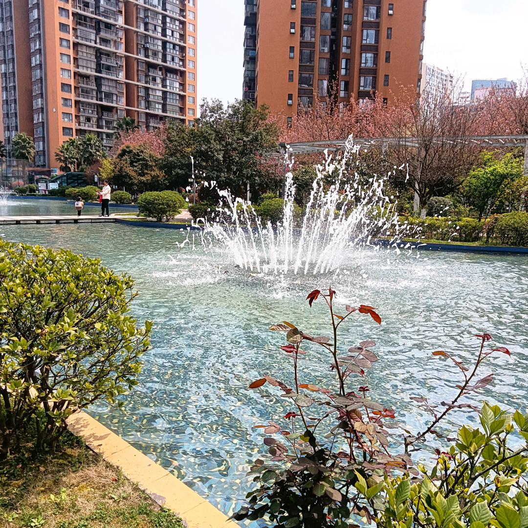 风吹麦浪
