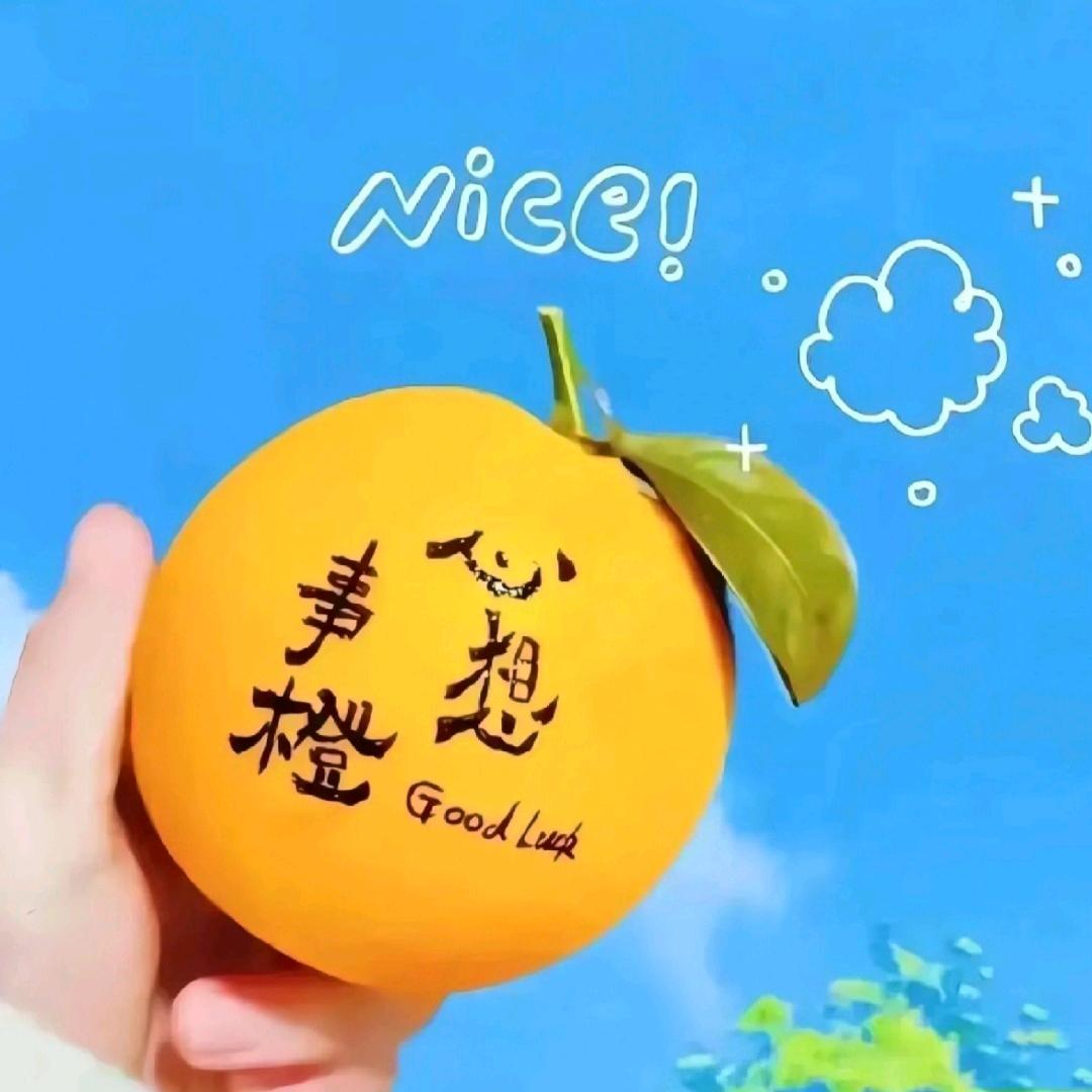 红运来🌹