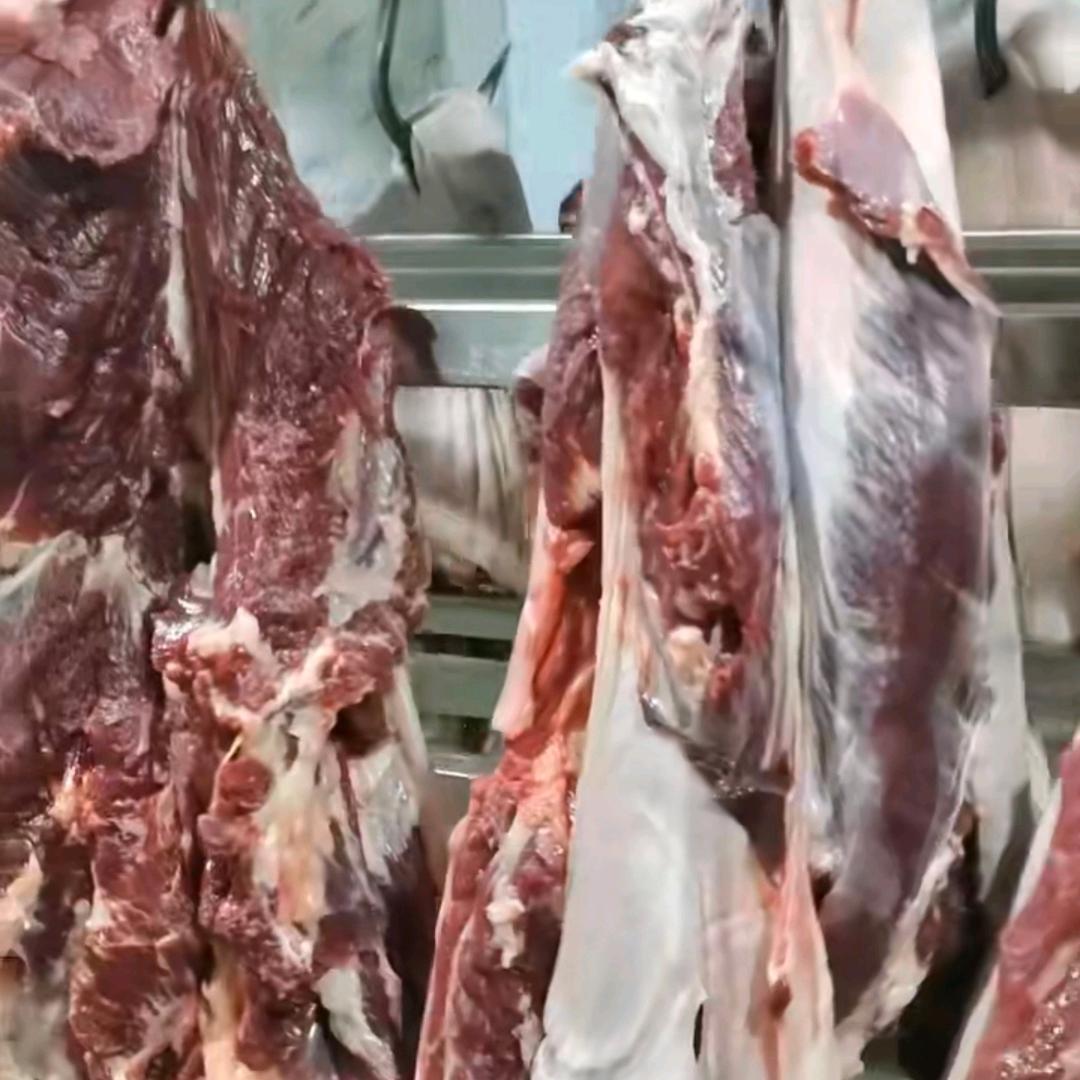 山东驴肉批发零售