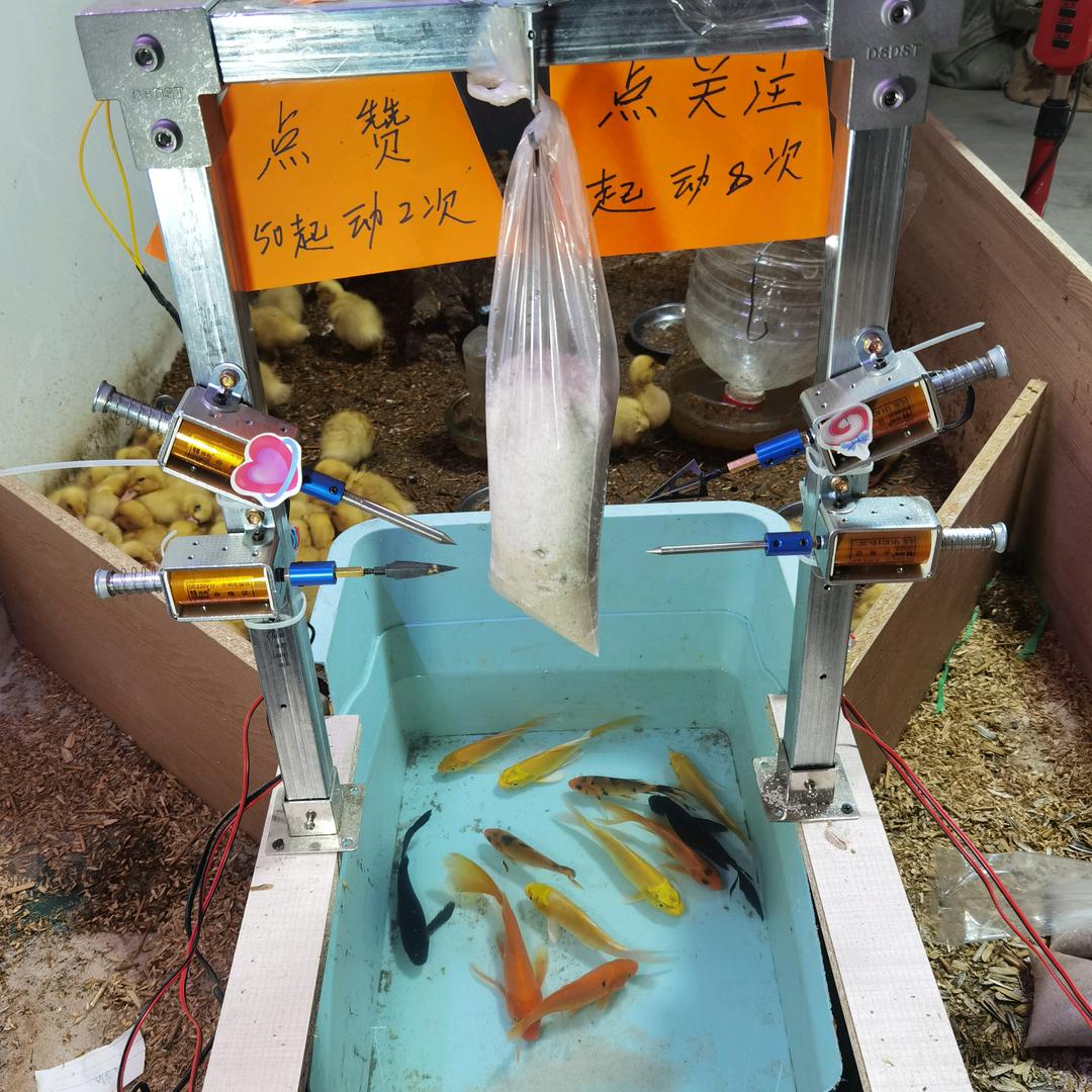 娱乐互动老王