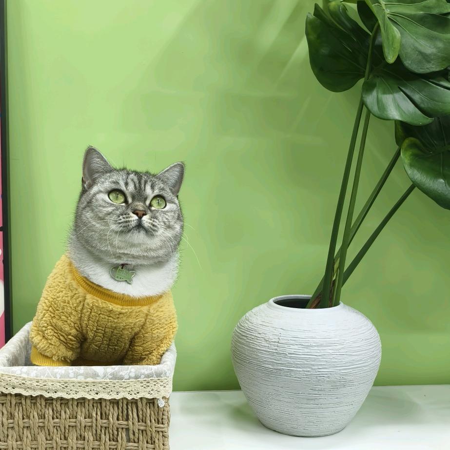 海门天天宠物馆