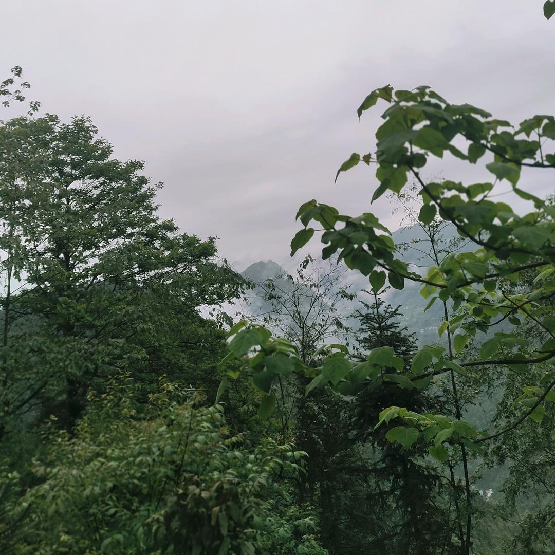 八月爪抑郁