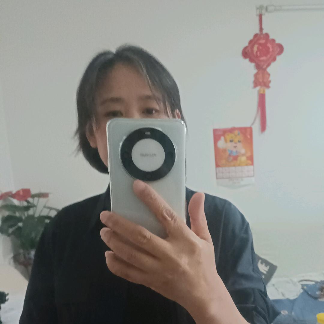 黄菜菜