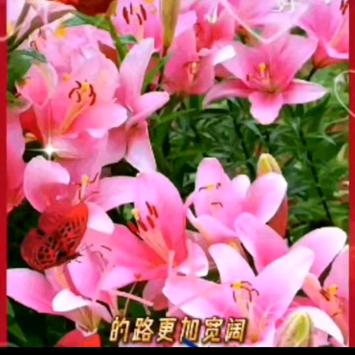 梁🌺平🌹༣春暖🌸花开༉ᩚ᭄（A）