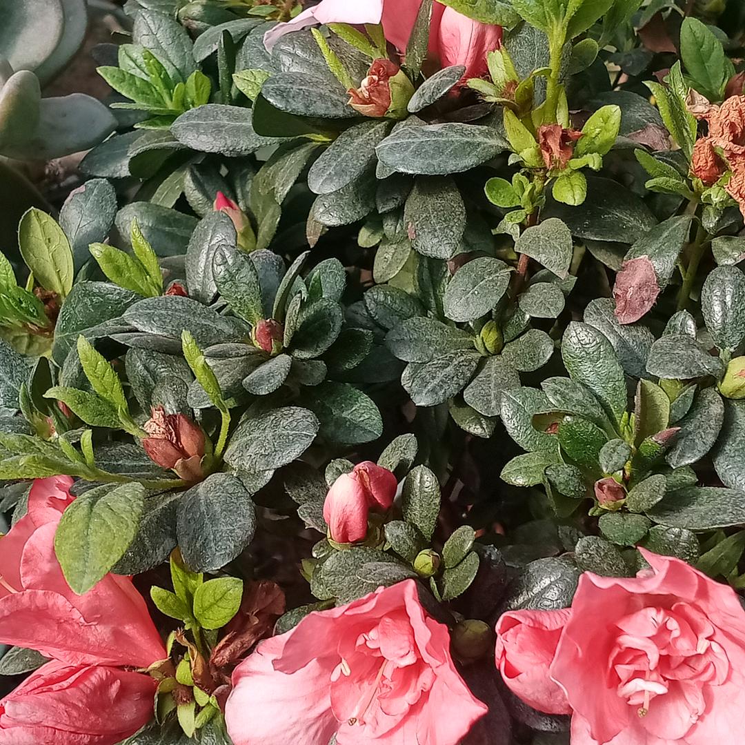 (❁´◡`❁)*✲ﾟ爱野钓ヽ(爱´∀‘爱