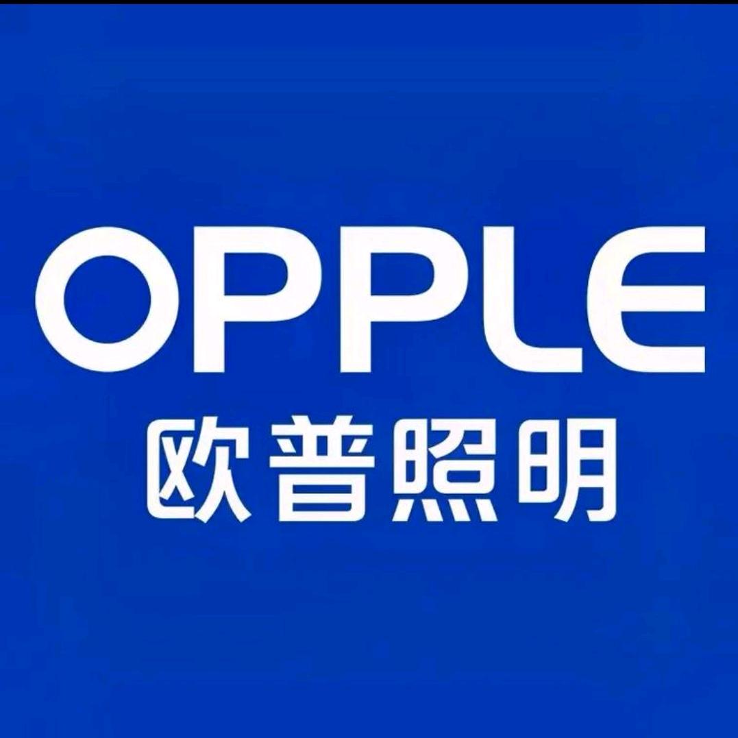 欧普照明 红星店