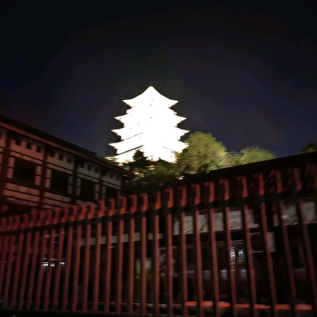 爱媛
