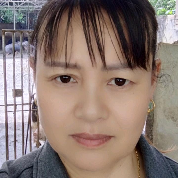 湖南张家界九姆山黑猪