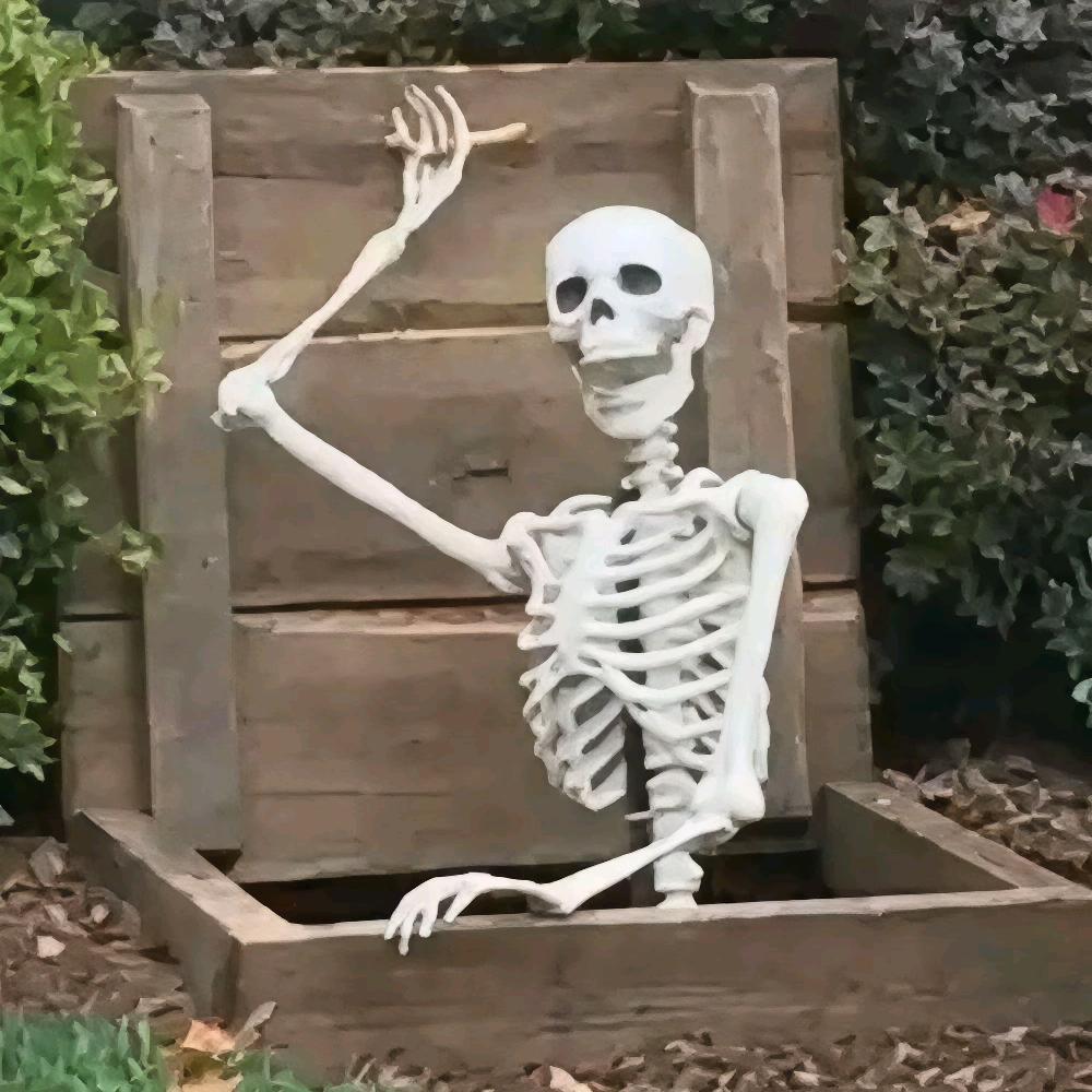 🌟蜡笔小🦍🦍🌈