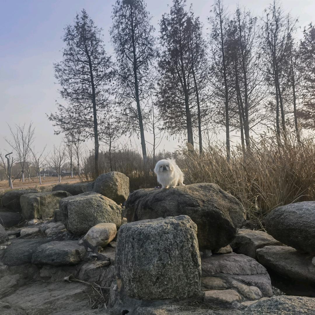 天地