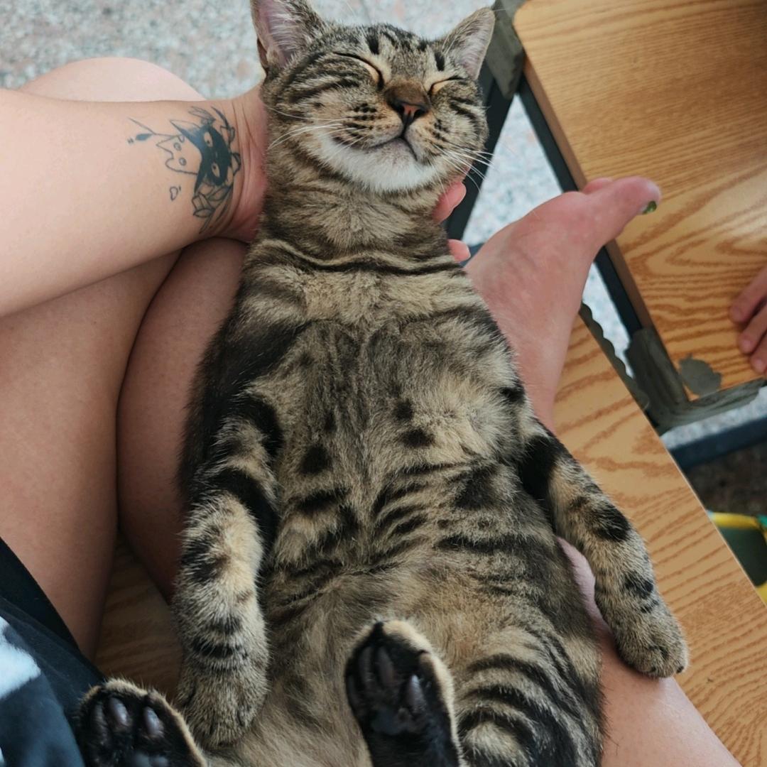 填写名字绞尽脑汁