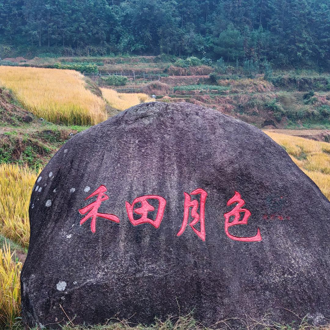 健力宝