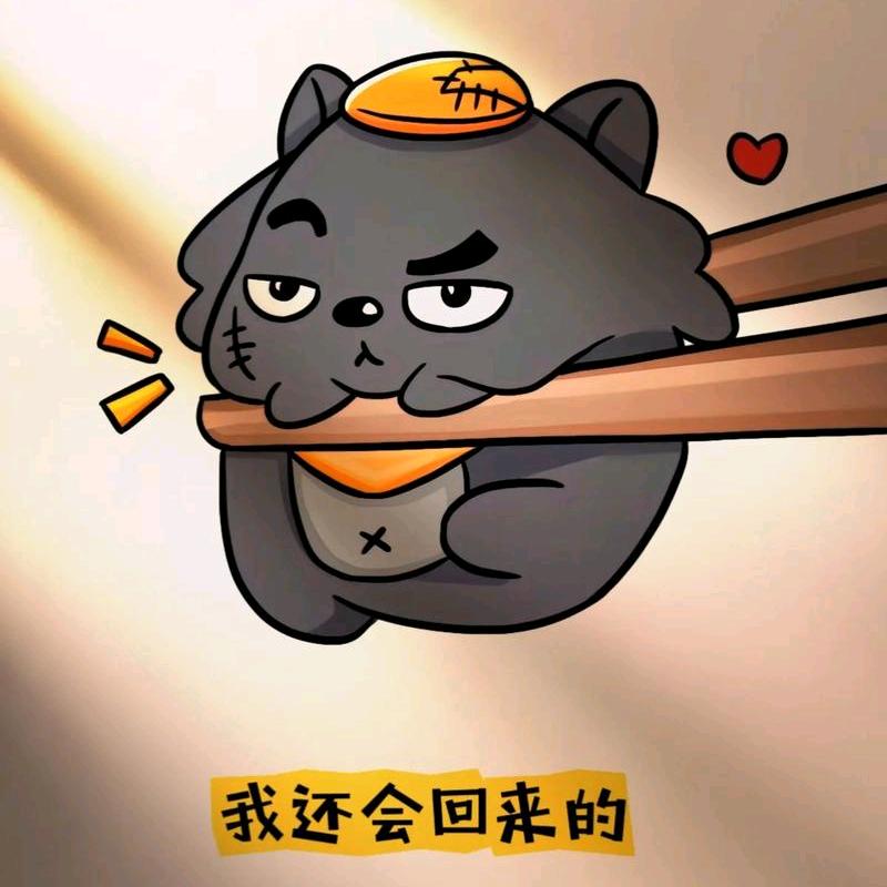 偷心情的贼
