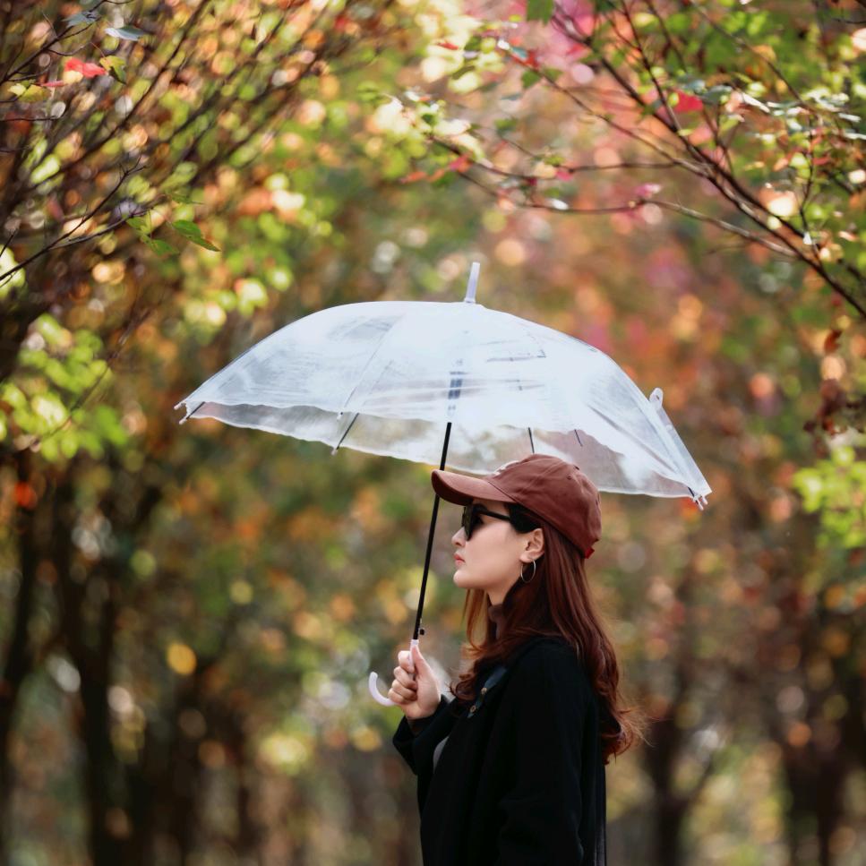 ᥫᩣ໊ 小小悦岳 （关必回）