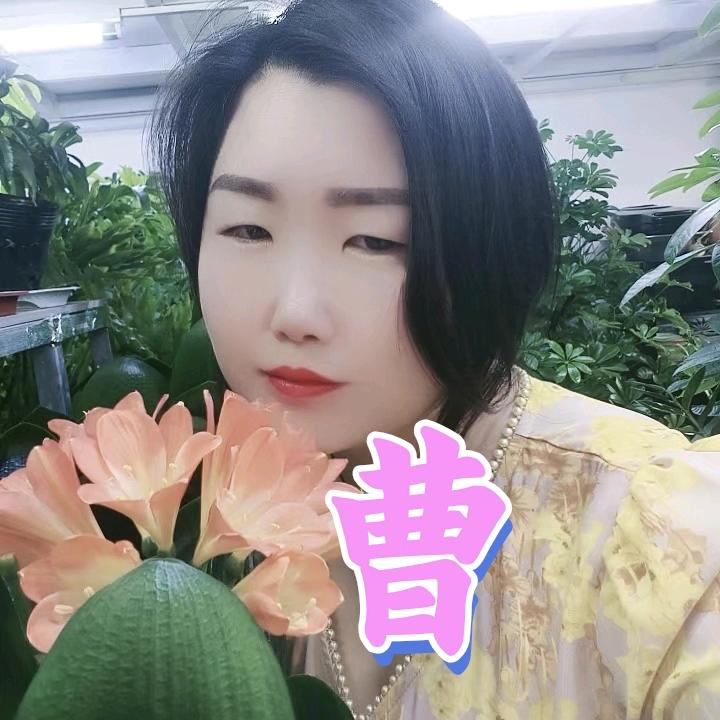 惠雨（象园茶 茶农自产自销）