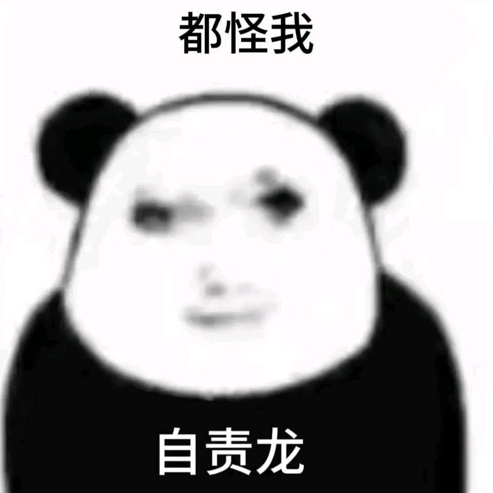 麦加鸽