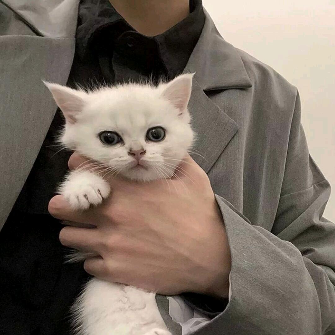 石树清