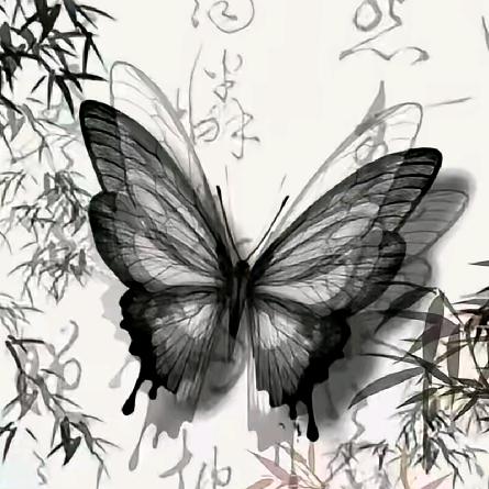 小西柚
