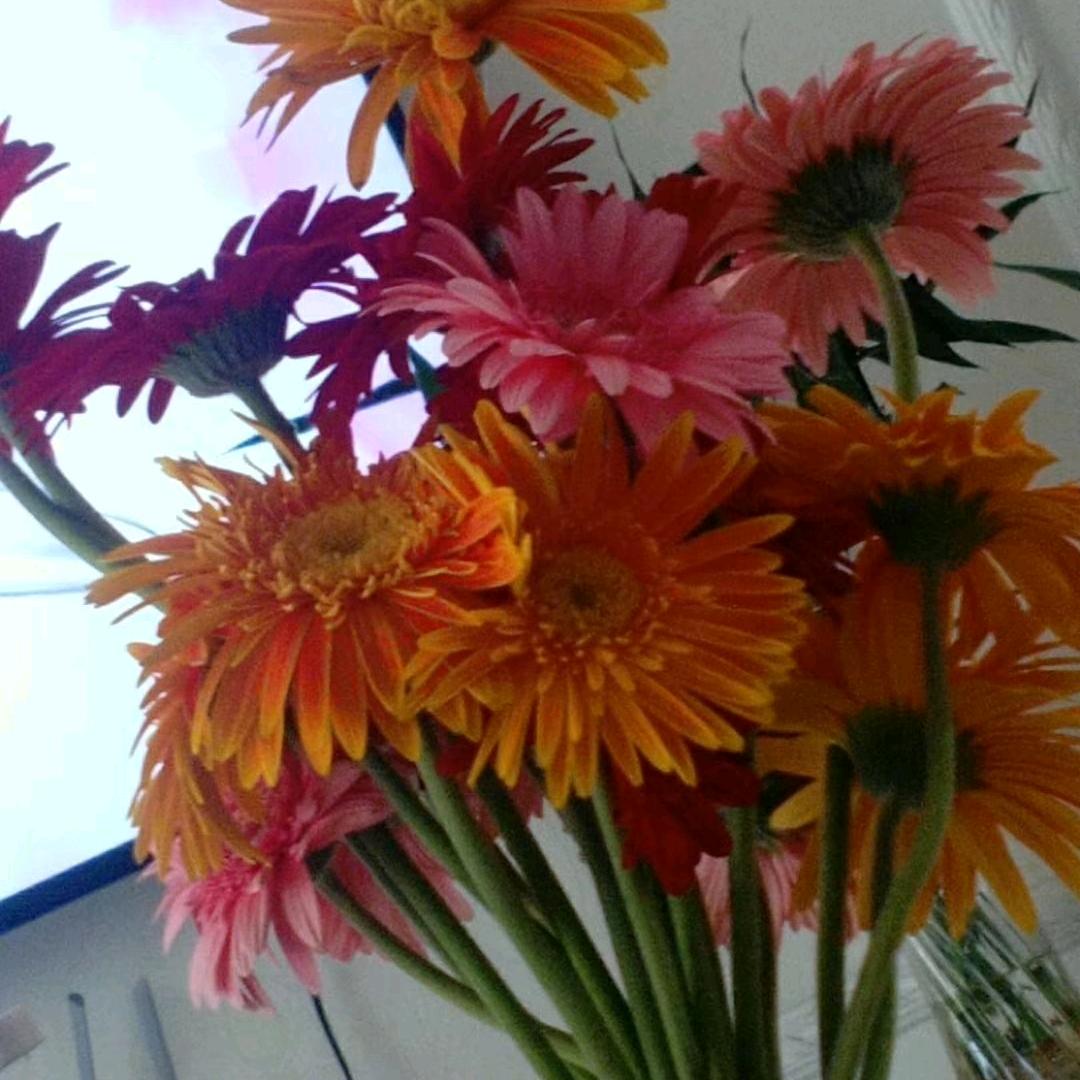 @一路同行¹⁹¹⁵