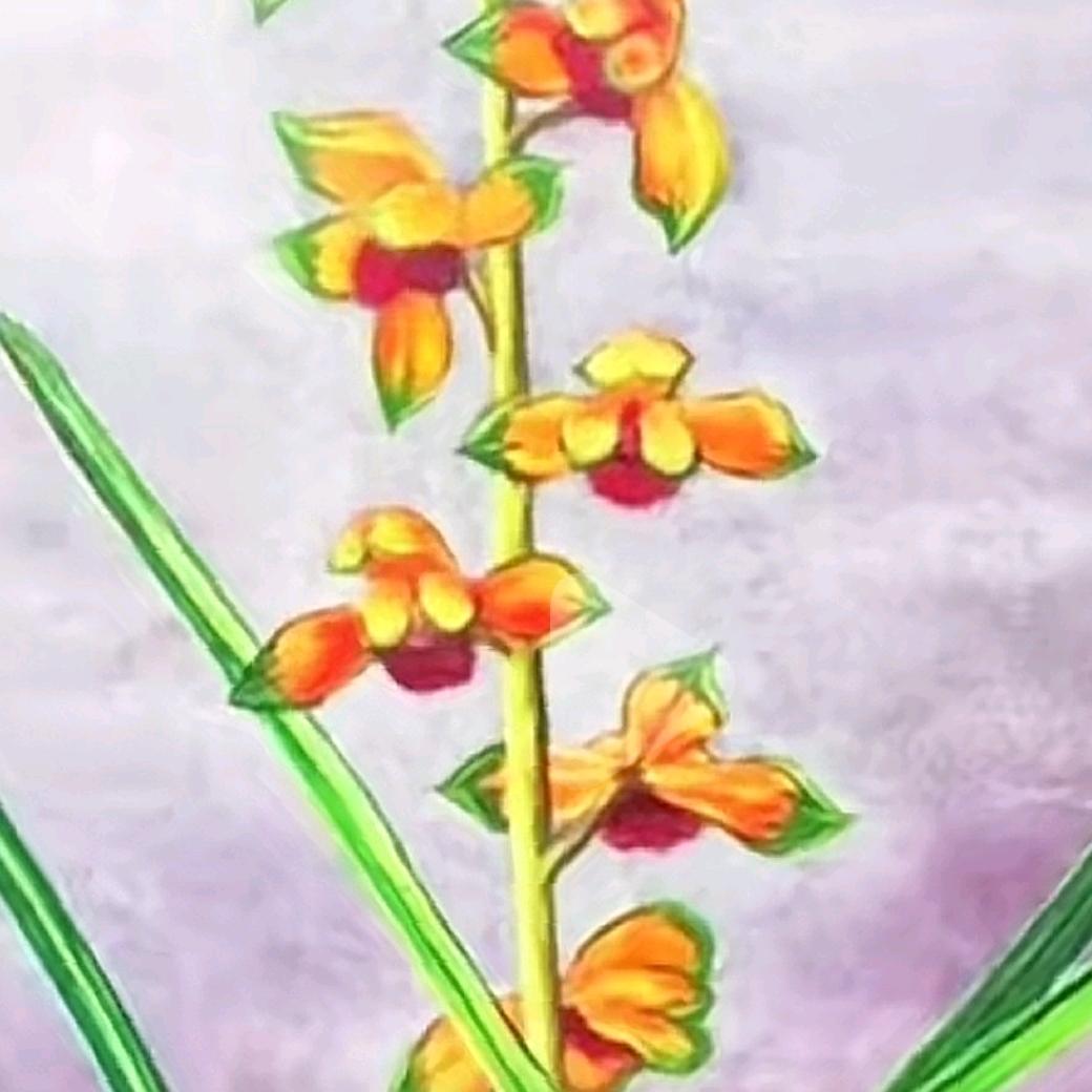 兰影游龙
