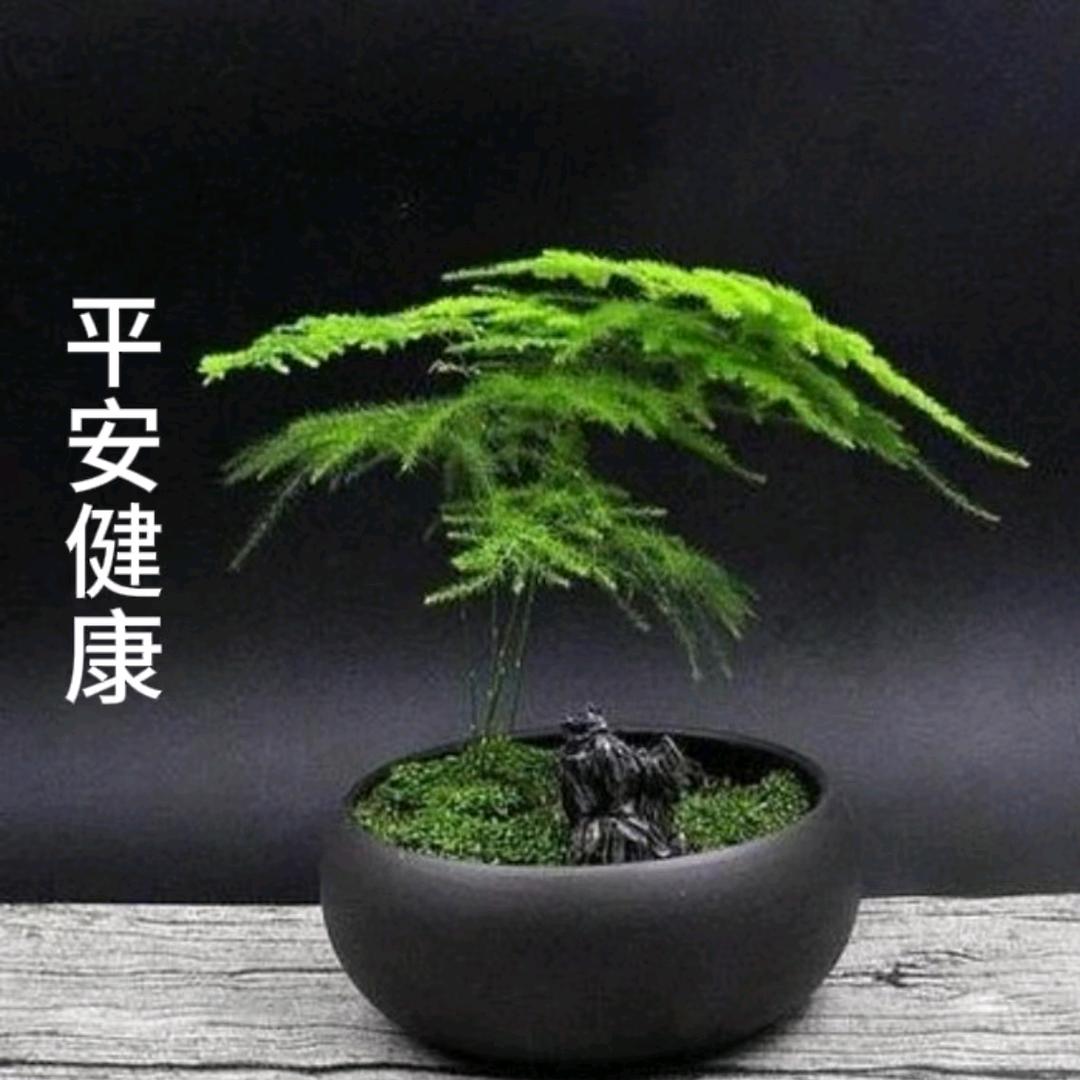 知足常乐 平安幸福