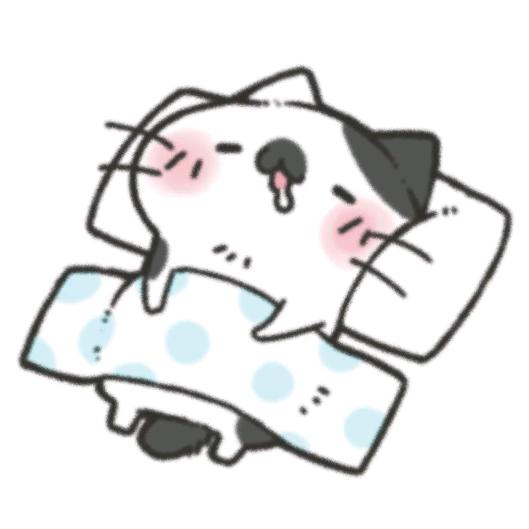 猫咪