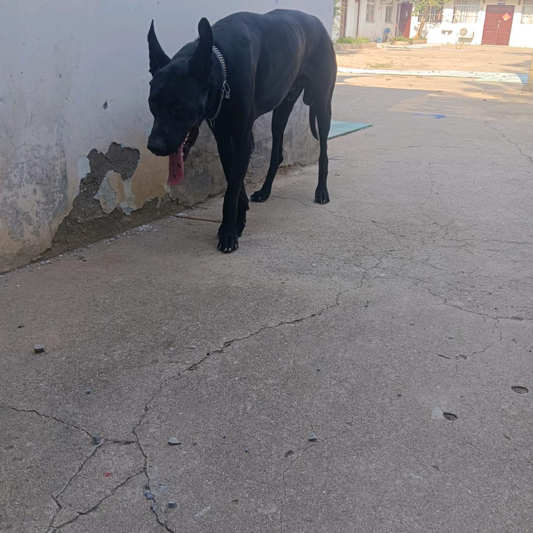 用户4266194709324无忧