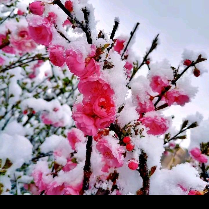 星辰大海🌟street