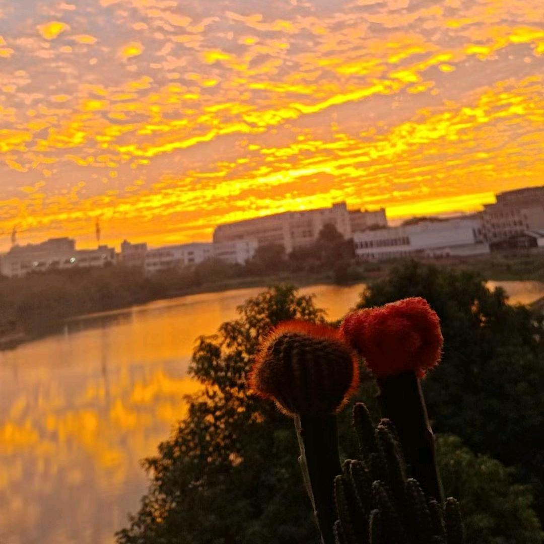 @@对方正在输入…………❄️❄️❄️