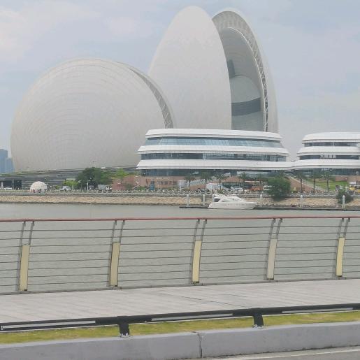 ♍️不拉闸的文子