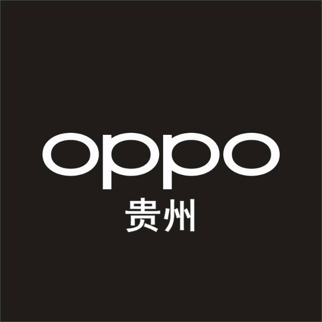 OPPO授权体验店(小河龙湾万达广场店)