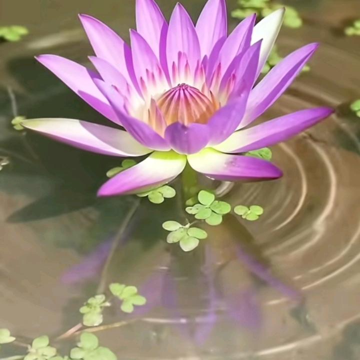 积极向上