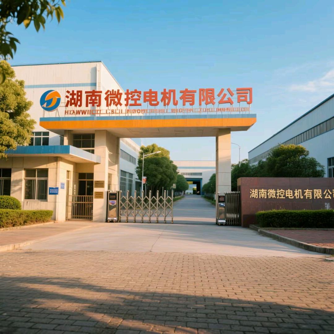 微控电机