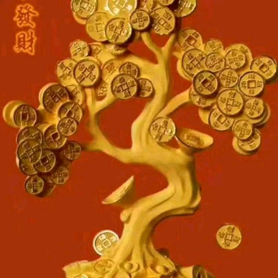 寻缘互关