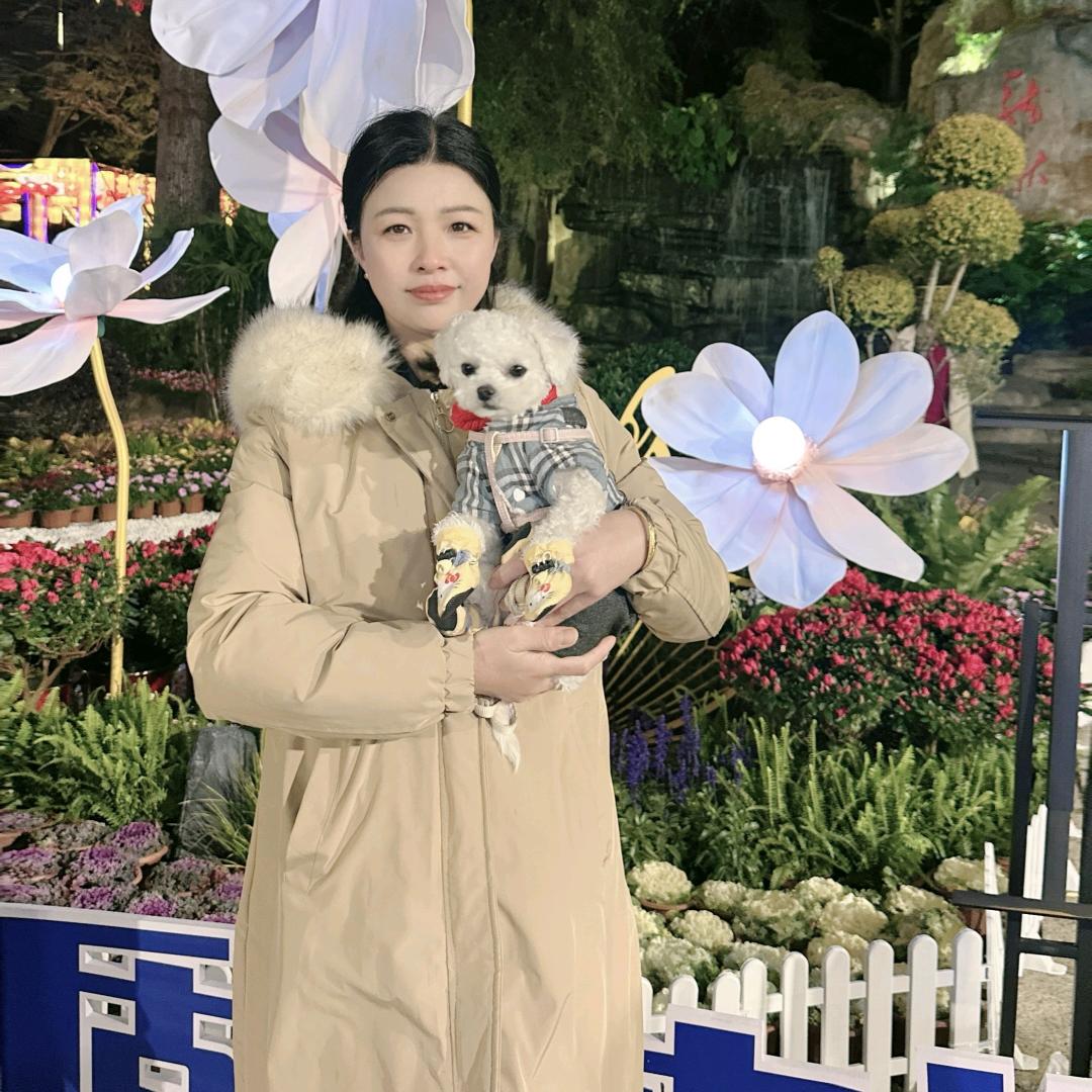 平安是福！🐑