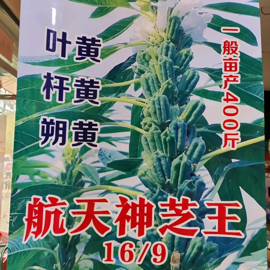 临泉县周玉山农资