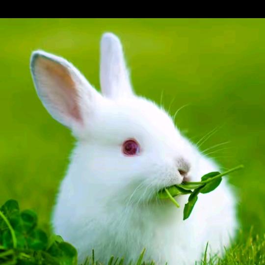 ❤️封❤️🔒爱❤️