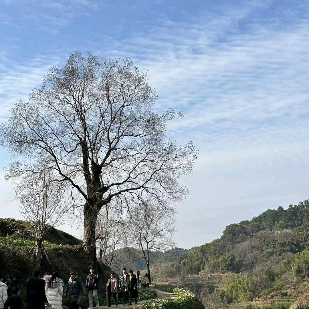 实现梦想，完成理想