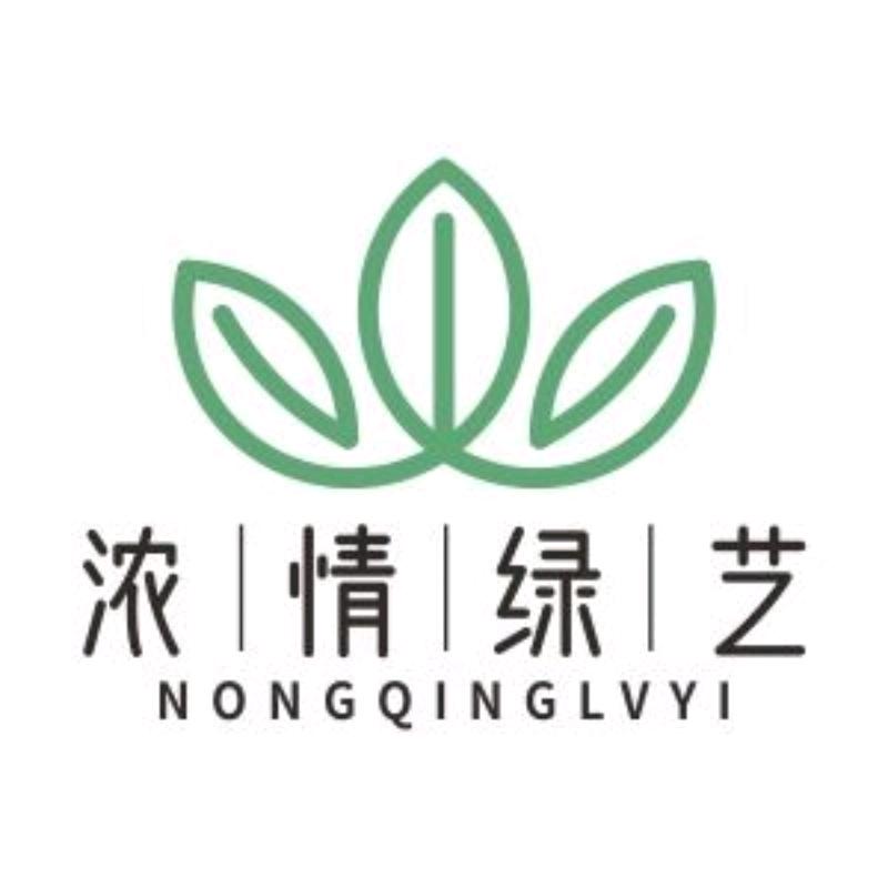 浓情绿艺绿植旗舰店