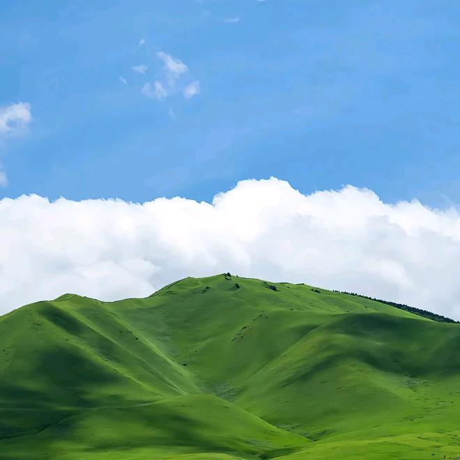 怀念苍蝇_