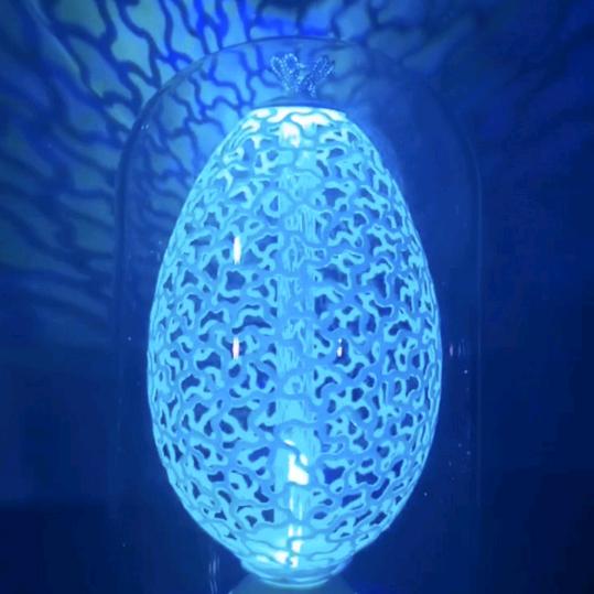 🥚蛋壳魔法师✨