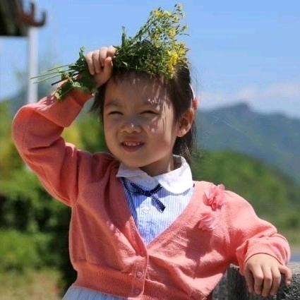 李哥养兰寿