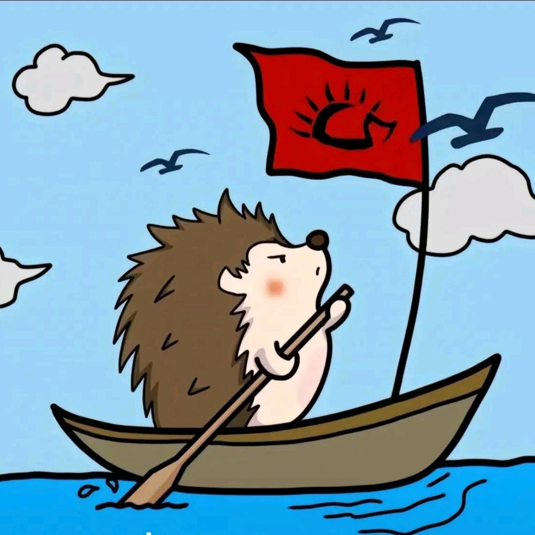 海北的刺猬船长