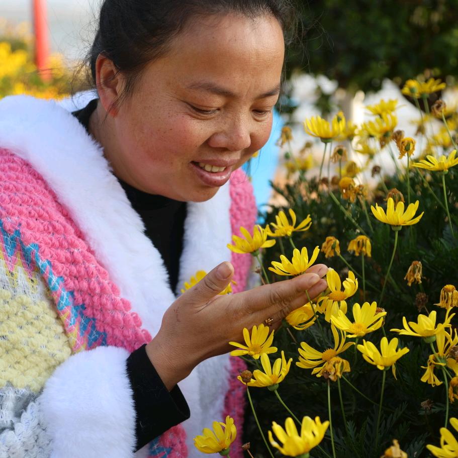 汤锅家妹（汤妹）