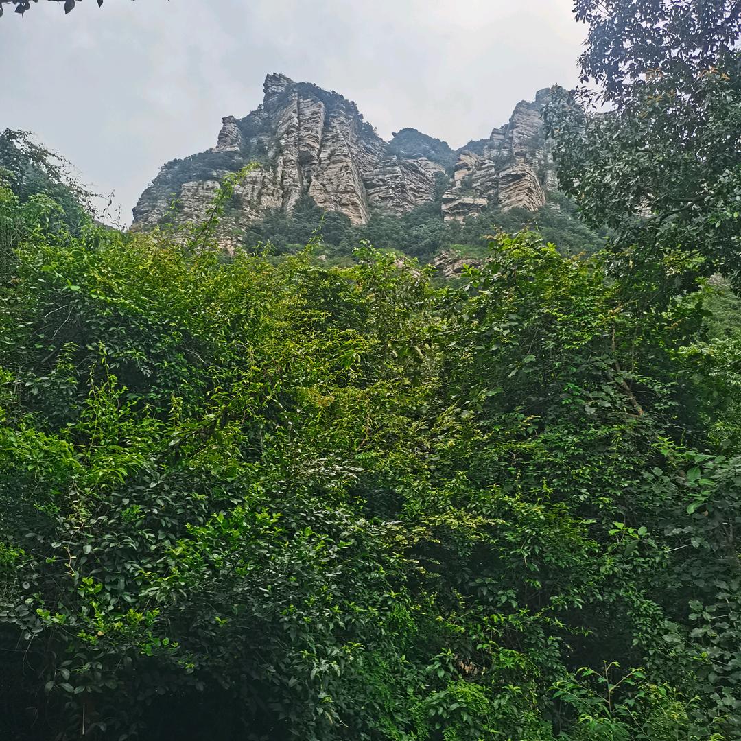 蔡小葵（怦然心动）