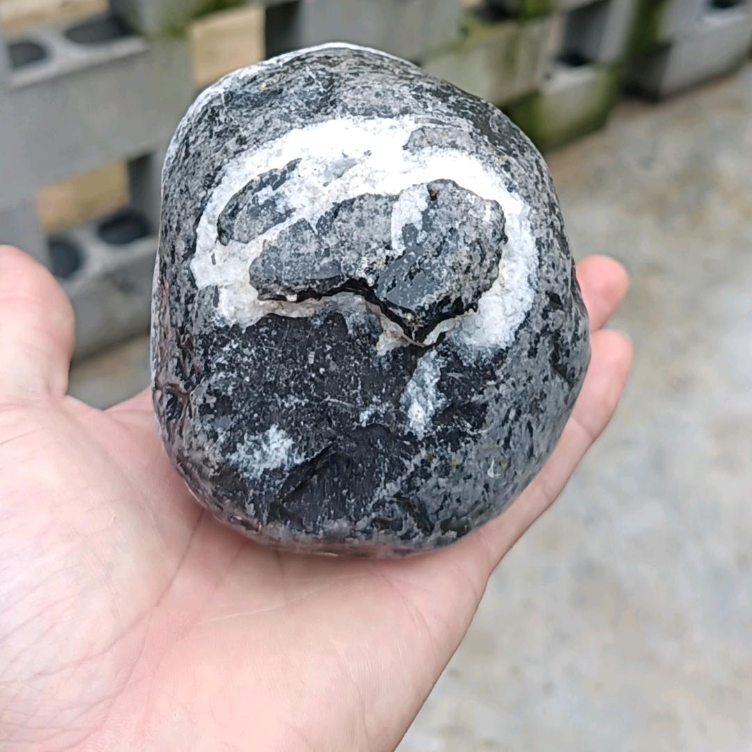 文采飞扬  汐水长流