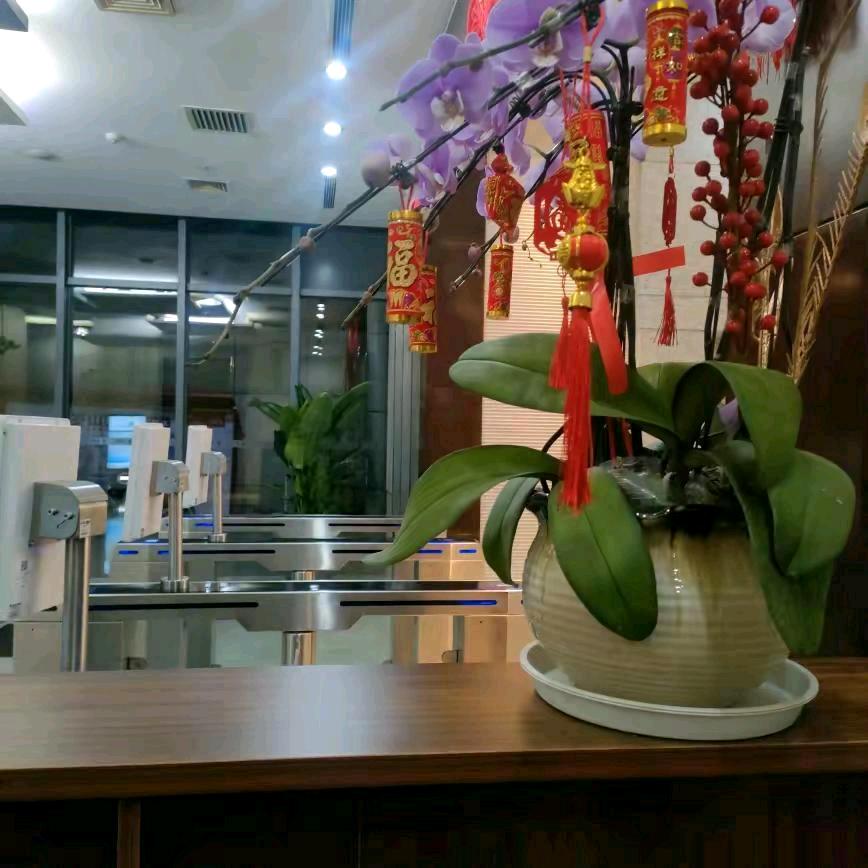 改变自己放弃一切