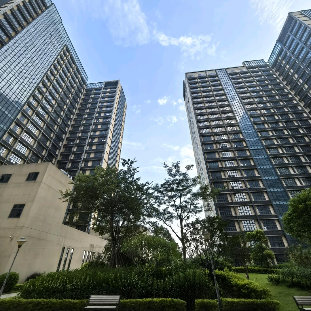 深圳市绿新置业咨询有限公司