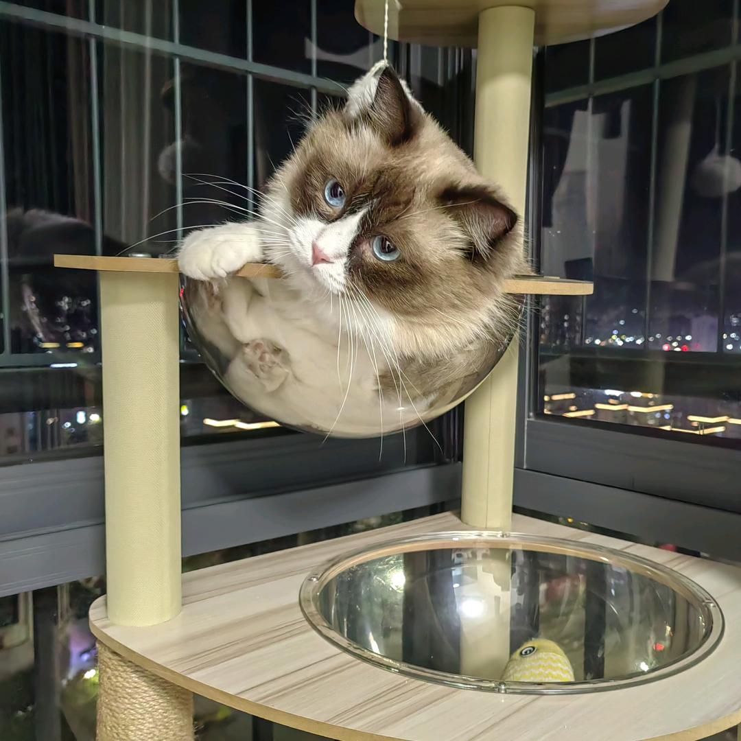 相约星期（8可好）ᝰꫛꫀꪝMꫀꫀt ꪗꪮ